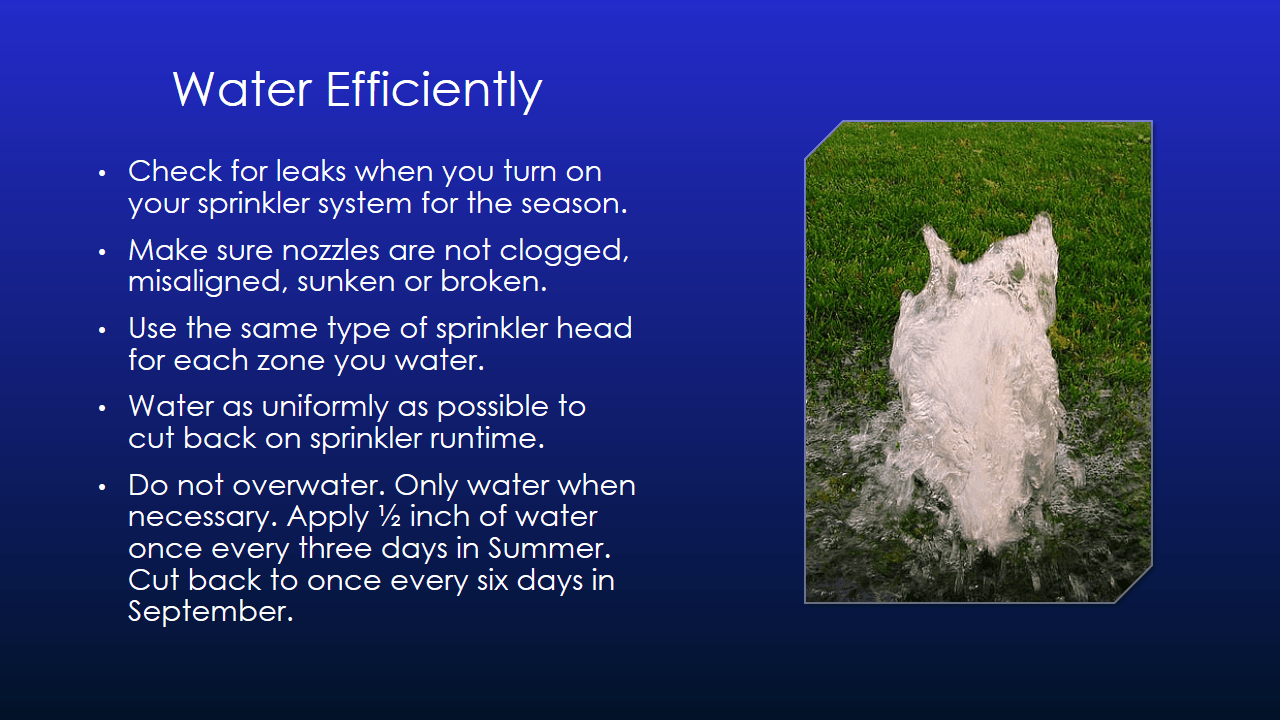 Water Conservation Presentation - Slide 6